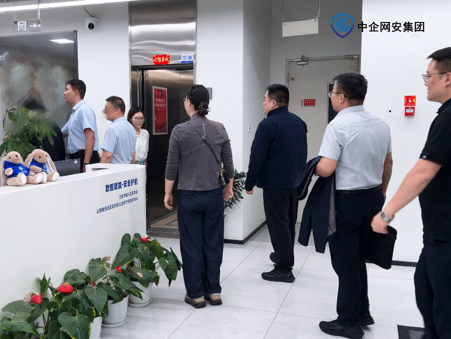 中企网安集团